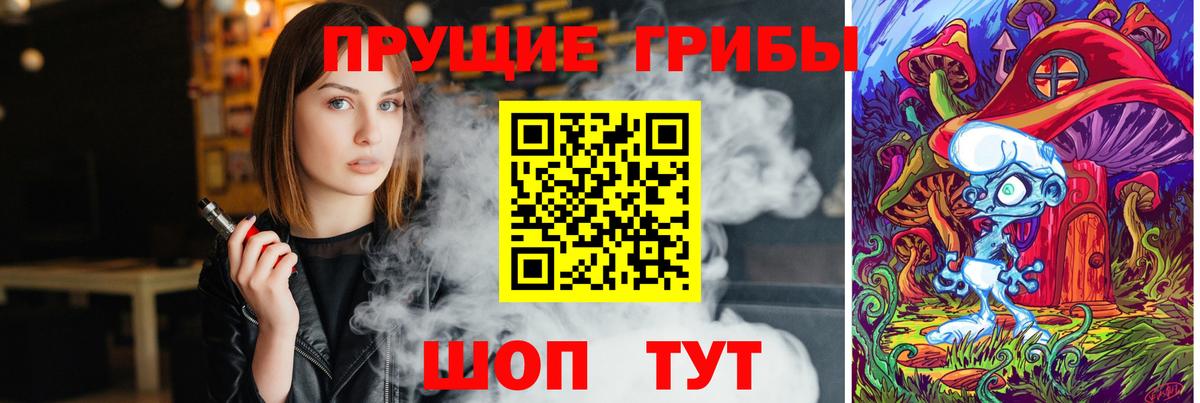 Псилоцибиновые грибы Magic Shrooms  Вход с VPN  Пугачёв  цены наркотик  Псилоцибиновые грибы GOLDEN TEACHER 